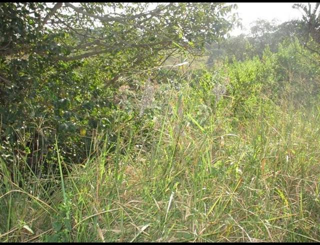 LAND FOR SALE IN OSLO BEACH